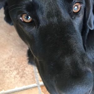 Meet your Posher, Alexandra